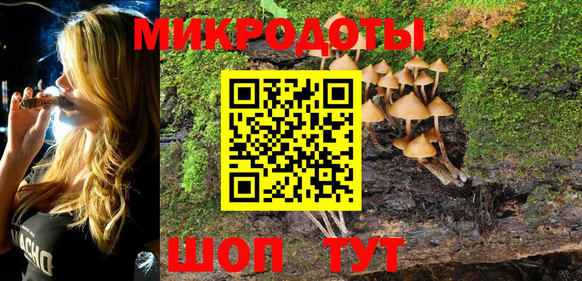 Псилоцибиновые грибы Cubensis  Вход с VPN  Озёрск 