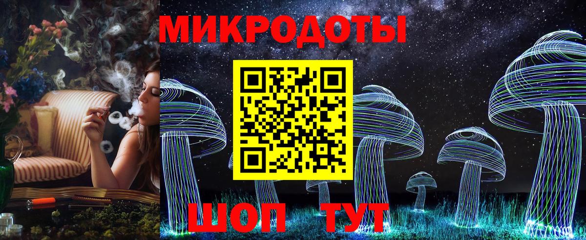 Псилоцибиновые грибы Psilocybine cubensis Озёрск